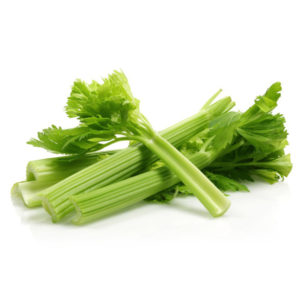 Aliquam lobortis pellentesque