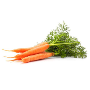 Consequuntur magni risus